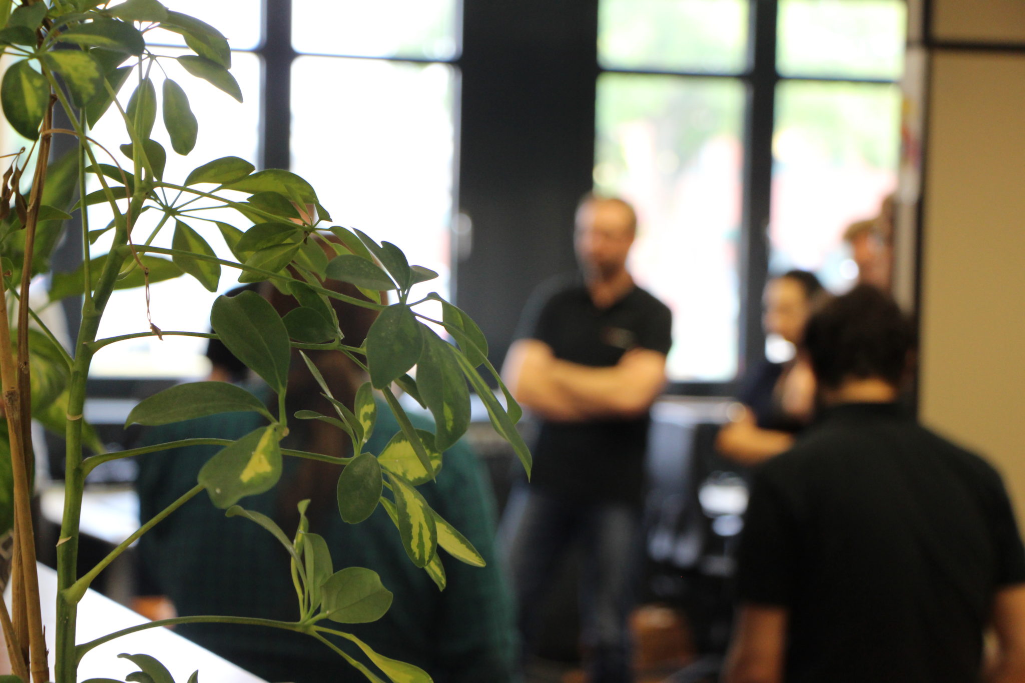 Austausch im SiteFusion-B&uuml;ro